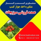 اخذ پروانه کسب عمده فروشی سبزیجات