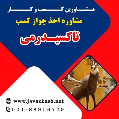 مدارک لازم برای گرفتن جواز کسب تاکسیدرمی