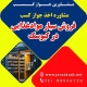 دریافت جواز کسب فروش سیار مواد غذایی در کیوسک