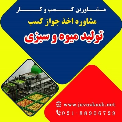 مراحل گرفتن پروانه کسب تولید میوه و سبزی
